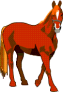 Pension de Chevaux Site et Renseignements